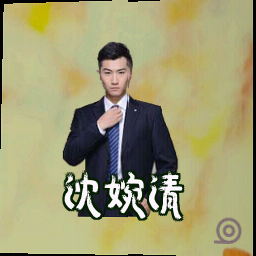 沈婉清